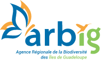 Logo de l'ARBIG