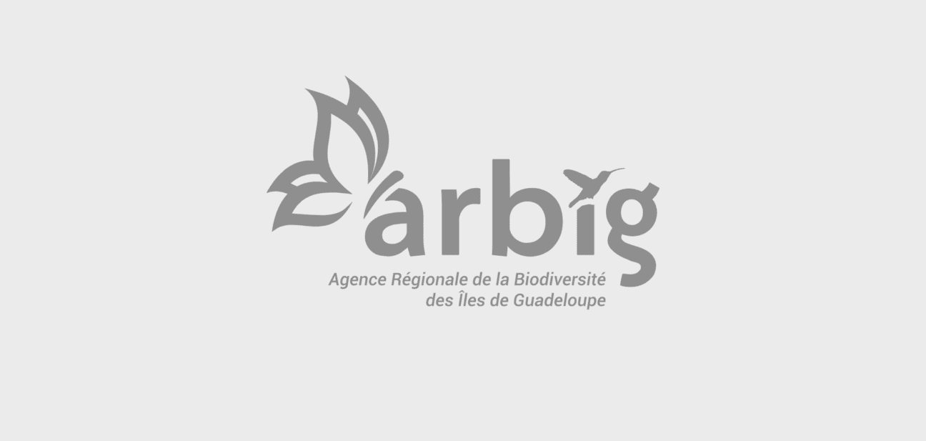 Conférence gratuite : les récifs coralliens, un trésor à protéger