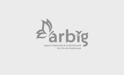 Conférence gratuite : les récifs coralliens, un trésor à protéger