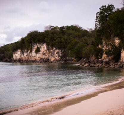L'Observatoire Régional de la Biodiversité des Îles de Guadeloupe