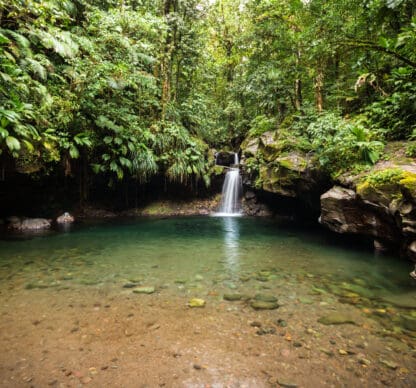 Qu'est-ce qu'un observatoire de la biodiversité ?
