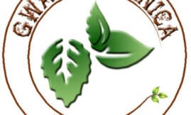Gwada Botanica