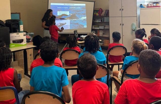 Mon école, ma baleine