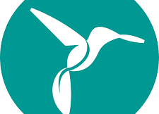 AMI : Label bas-carbone mangrove et forêts marécageuses