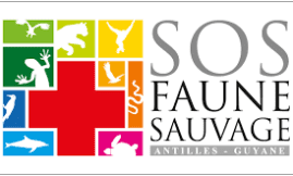 SOS faune sauvage