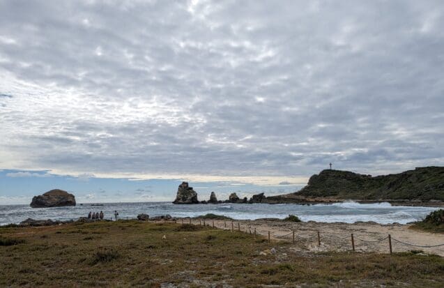Le Biodiv’Tour à Saint-François