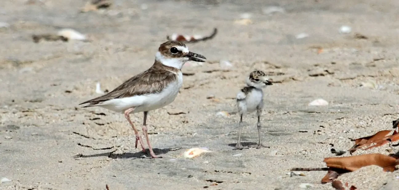 Associations, on vous accompagne dans vos projets biodiversité !