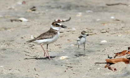 Associations, on vous accompagne dans vos projets biodiversité !
