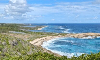 La biodiversité de la Pointe des Châteaux protégée par la commune