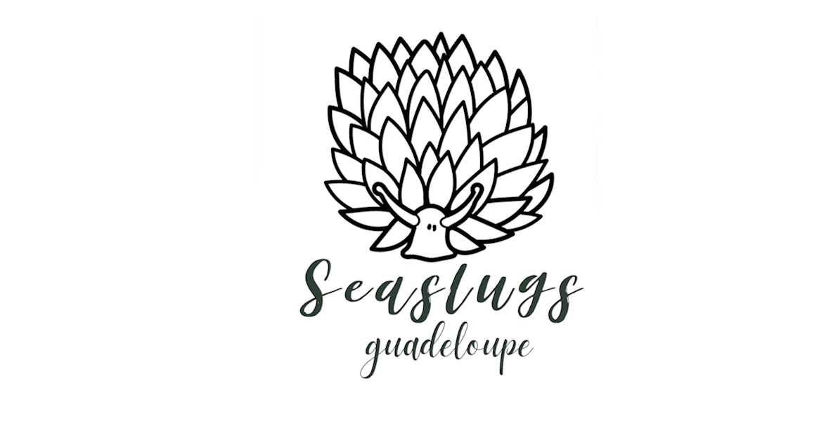 Seaslugs Guadeloupe : Recensement participatif des limaces de mer