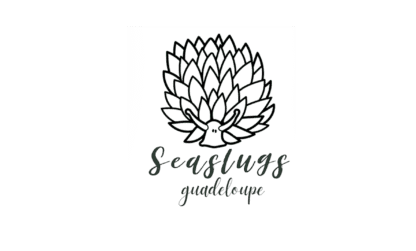 Seaslugs Guadeloupe : Recensement participatif des limaces de mer