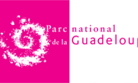 Laliwondaj - Parc National de la Guadeloupe