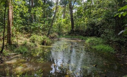 Animations en Février – Journée mondiale des zones humides