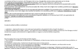 Liste des coraux protégés en Guadeloupe : arrêté du 25 avril 2017