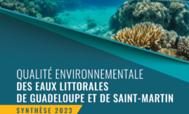 Qualité environnementale des eaux littorales de Guadeloupe et STM