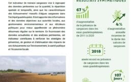 Indicateur menace : Sargasses