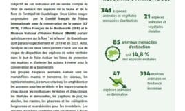 Indicateur : État de conservation des espèces menacées Guadeloupe
