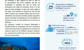 Indicateur : État des récifs coralliens des îles de Guadeloupe