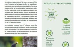 Indicateur :  État des oiseaux des îles de Guadeloupe