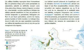 Panorama : Milieux humides des Îles de Guadeloupe