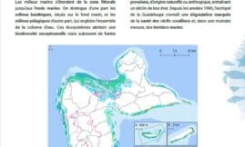 Panorama : Milieux marins des Îles de Guadeloupe