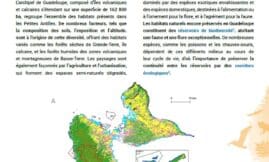 Panorama : Milieux terrestres des Îles de Guadeloupe