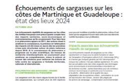 Plan national de prévention et lutte sargasses - 2022-2025