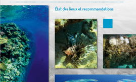 EEE Marines - Risques et défis pour les écosystèmes