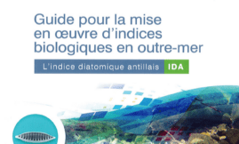 Guide méthodologique : l'Indice Diatomique Antillais (IDA)