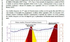 IFRECOR – Blanchissement corallien Antilles françaises 2023-2024
