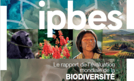IPBES - Rapport Biodiversité et services écosystémiques - Résumé