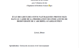 Etat des lieux - suivis naturalistes protocolés- rapport de stage