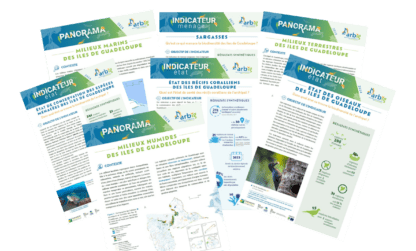 Publication des Indicateurs de biodiversité et Panoramas