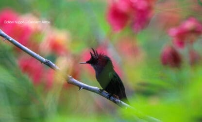 Le rapport d’activité 2024 de l’ARB-IG est disponible !