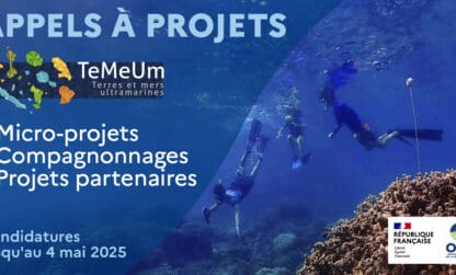 Candidatez pour les appels à projet Te Me Um