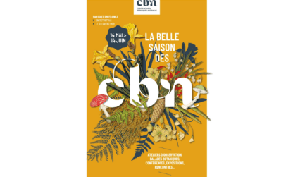 Participez aux activités du Conservatoire Botanique en Guadeloupe