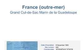 Fiche descriptive Ramsar Grand Cul-de-Sac Marin de la Guadeloupe