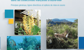 Guide pratique détection précoce et réaction rapide face aux EEE