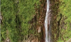 Guide de découverte du Parc national de la Guadeloupe