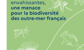 Les EEE, une menace pour la biodiversité des outre-mer français