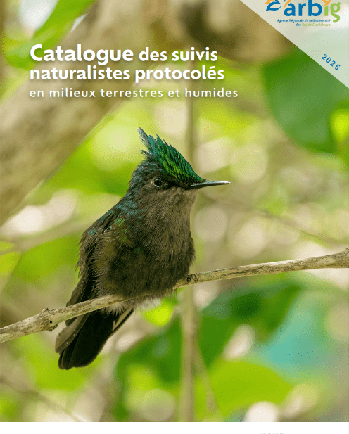 Suivis naturalistes Guadeloupe : milieux terrestres/humides
