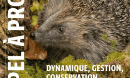 Appel à projet de la Fondation François Sommer