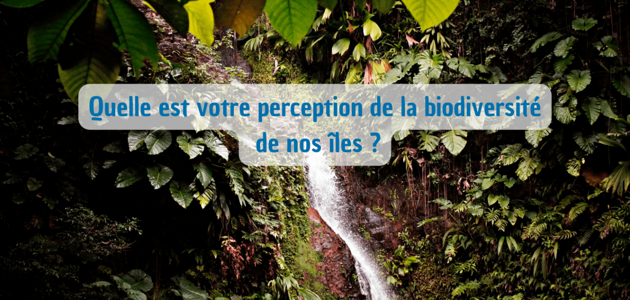 Participez à une enquête sur votre perception de la biodiversité