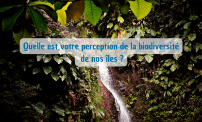 Participez à une enquête sur votre perception de la biodiversité