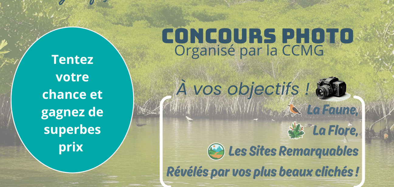 Concours photos