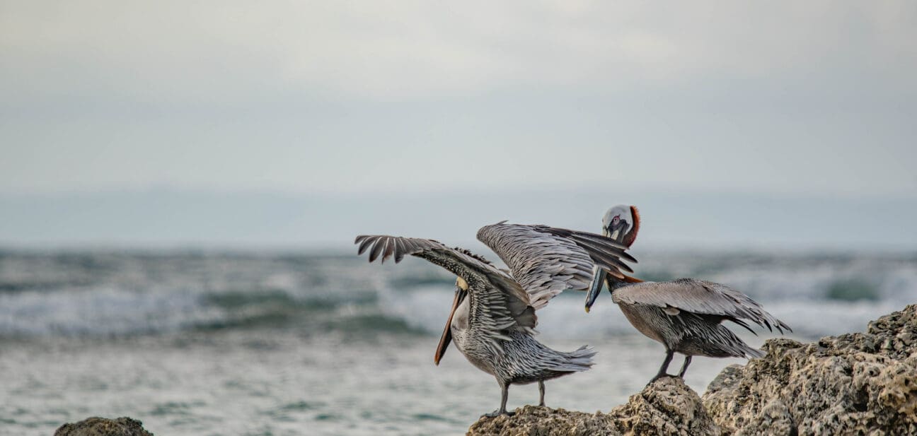 Résultats enquête sur la perception de la biodiversité