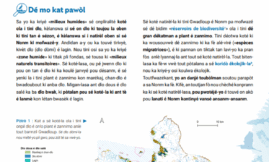 Panorama milieux humides en créole