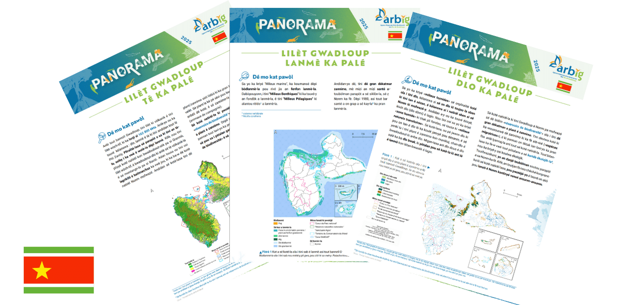 Panoramas des milieux en créole