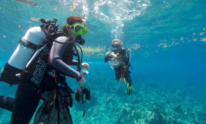 Projection du film « À la recherche du minuscule » !