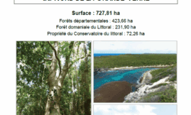 Plan de gestion RBD Nord Grande-Terre 2014-2023